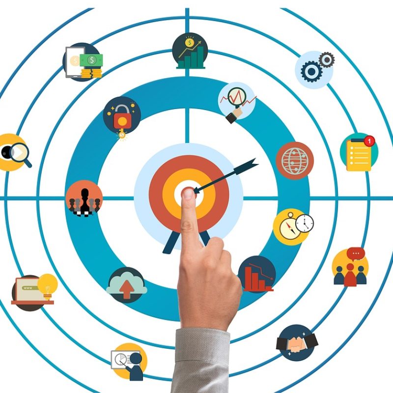 business, establishing a business, startup, nature, goal, skills, tree, can, training, concept, coach, seminar, marketing, branding, product, plan, schema, idea, perfomance, analysis, evaluation, strategy, principle, advertisement, analyze, goal, skills, marketing, branding, branding, branding, branding, branding, evaluation, evaluation, evaluation